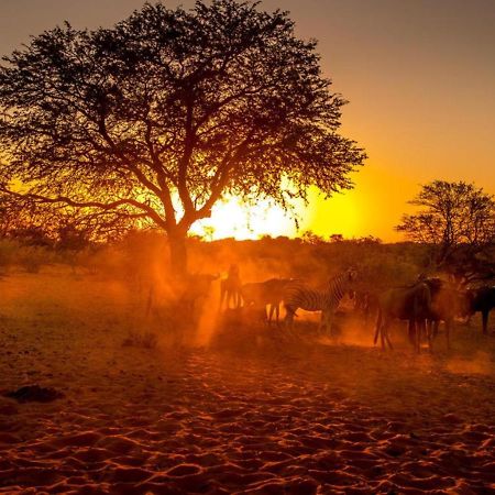 Bagatelle Kalahari Boutique Farmhouse Lodge Mariental Dış mekan fotoğraf